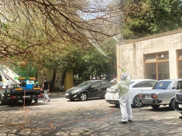 Paytaxtda Ağ Amerika kəpənəklərinə qarşı dərmanlama işləri aparılıb - FOTOlar
