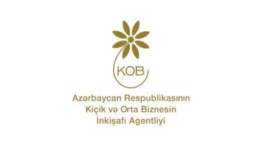 İsveçrədə KOBİA-nın təşəbbüsü ilə Bakı İqlim Koalisiyasının təqdimatı keçirilib - FOTO