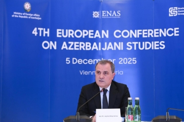 Ceyhun Bayramov Vyanada Konfransda çıxış edib - FOTO