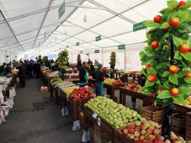 Bakıda və Abşeronda qış yarmarkaları təşkil olunacaq