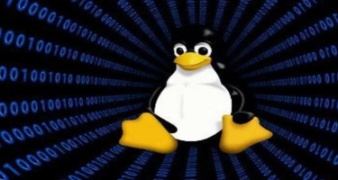“Linux” sistemli qurğulara hücumlar edilir