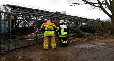 Almaniyada zoopark yandı: onlarla nadir meymun tələf oldu - FOTO