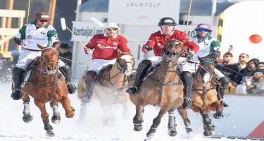 Azərbaycan atları İsveçrə tamaşaçılarını heyran etdi - FOTO
