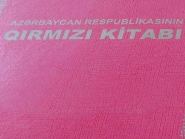 “Qırmızı Kitab”ın III nəşri hazırlanır