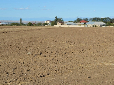 Bakıda torpağın və bağ evlərinin qiyməti ucuzlaşıb