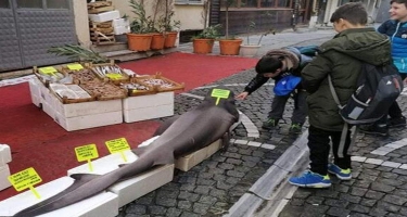 Turkiyədə balıqçının toruna 150 kiloqramlıq balıq düşüb