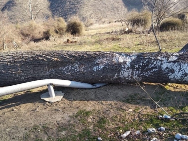 Güclü külək bəzi rayonlarda qaz təsərrüfatına ziyan vurub - FOTO