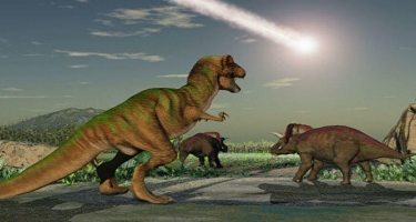 Alimlər: Dinozavrları öldürən asteroid okeanı metallarla zənginləşdirib