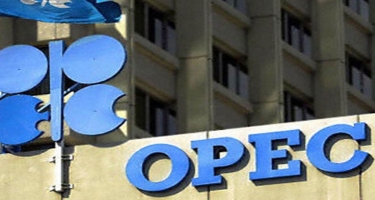 Nazir: OPEC ölkələri neft hasilatının azaldılması ilə bağlı vahid mövqe ortaya qoyacaq