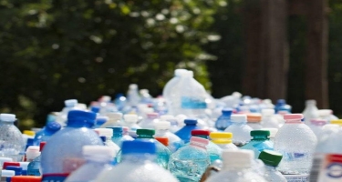 Ekologiyanın çirklənməsinə qarşı təbii həll - plastik yeyən tırtıllar