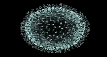 Koronavirusu 29 dəqiqəyə təyin etmək mümkün olacaq
