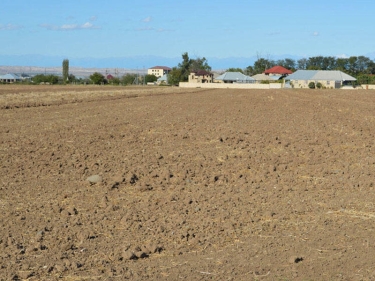 Bakıda torpağın qiyməti ucuzlaşıb