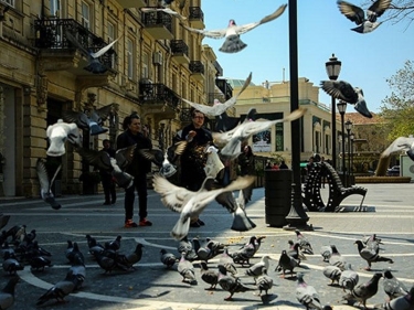 Karantin yumşalandan sonra “Tarqovıy” -  FOTO