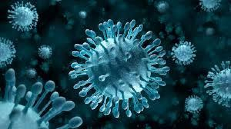 Almaniyalı virusoloq koronavirusla bağlı iddialarına cavab verib