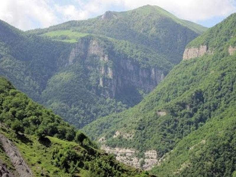 Antropogen təsirlər Qarabağın bir sıra qiymətli bitkilərinin tamamilə məhv olmasına səbəb olub - Botanika İnstitutu