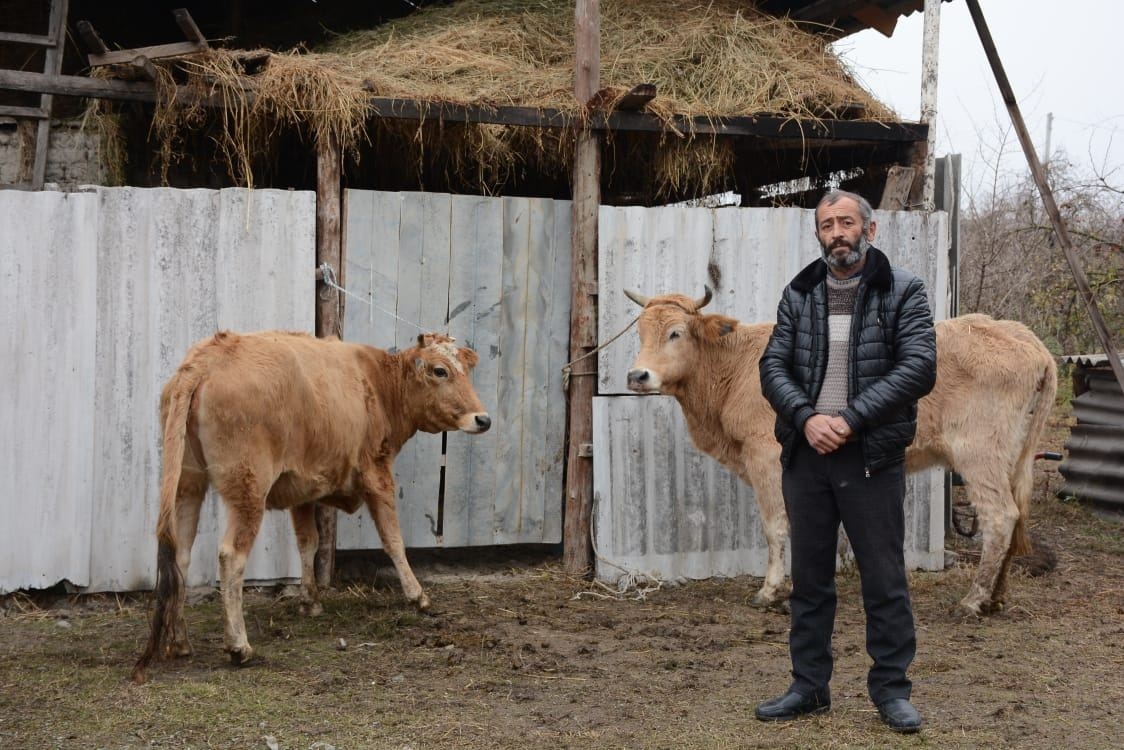 Göyçay və İsmayıllıda şəhid ailələri və müharibə iştirakçıları üçün təsərrüfatlar yaradılıb (FOTO)