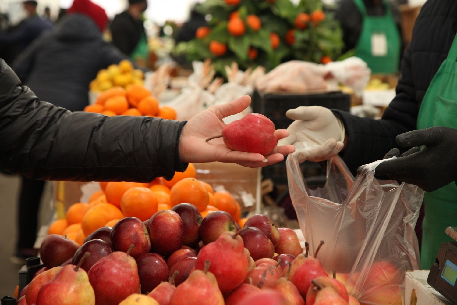 ''Kənddən şəhərə'' yarmarkasında məhsul qiymətlərinə ciddi nəzarət olunur