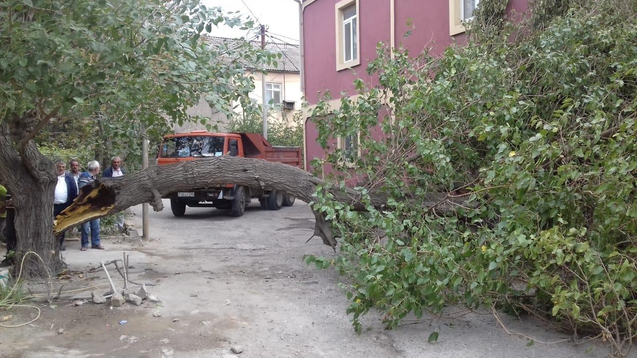 İcra Hakimiyyəti Gəncədə güclü küləyin fəsadları barədə