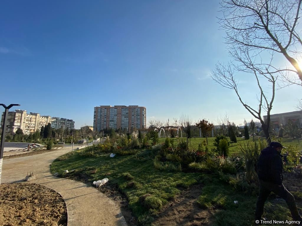 Bakıdakı bu parkın 70 faizi meşə zonası olacaq (FOTO)