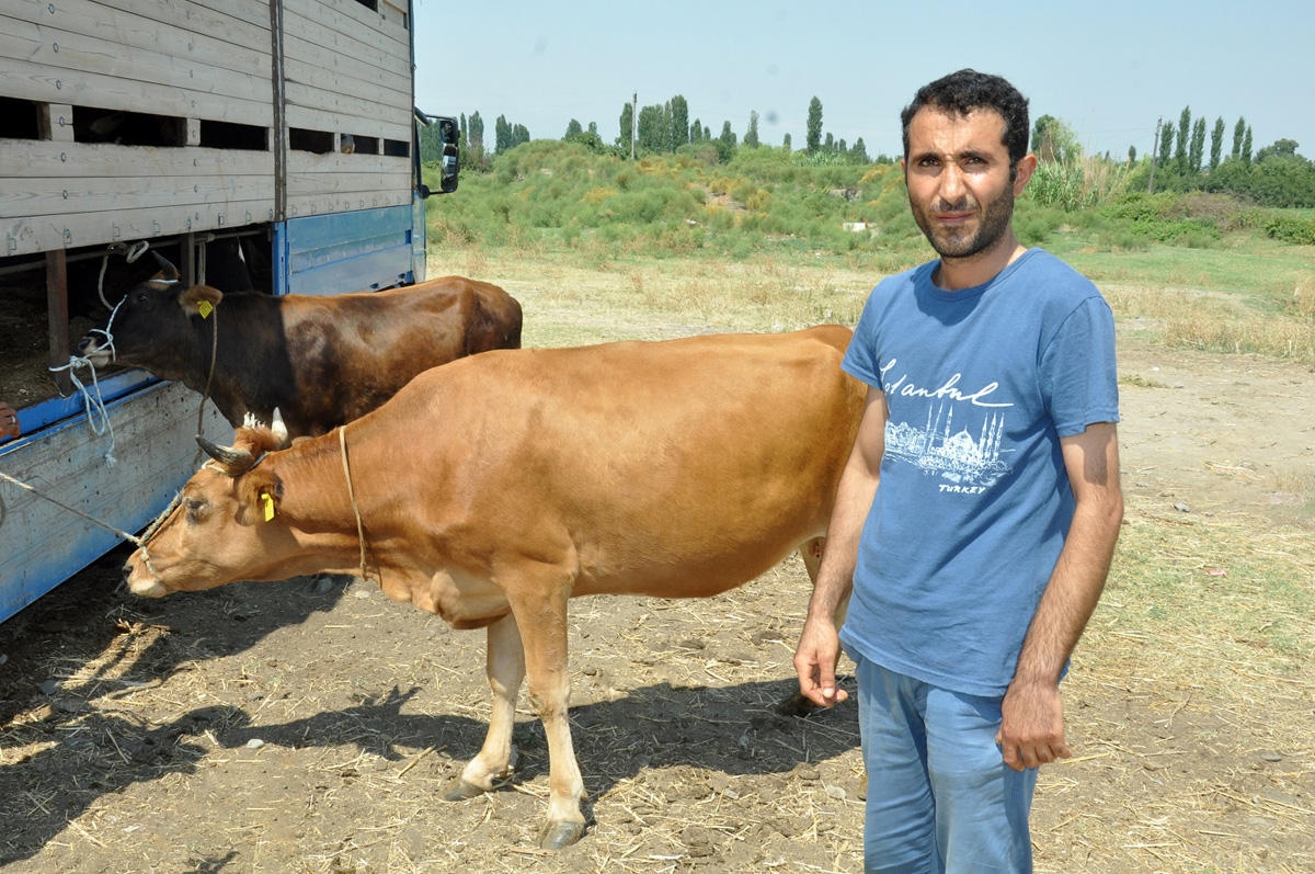 2019-cu il üzrə özünüməşğulluq proqramı iştirakçılarına mal və materialların verilməsinə başlanıb (FOTO)