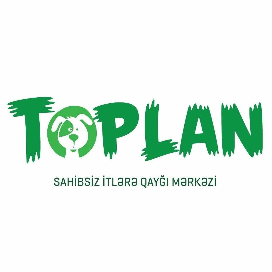 “Toplan” sahibsiz itlərə Qayğı Mərkəzi itlər üçün yeni sığınacaqlar inşa edir