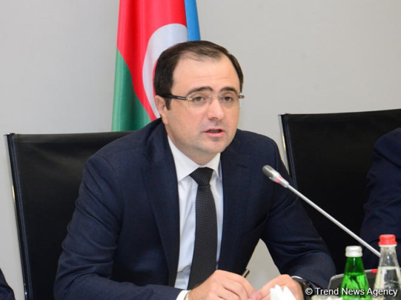 Nazir müavini: Azərbaycan Rusiya iqtisadiyyatına 1,2 milyard dollar investisiya qoyub
