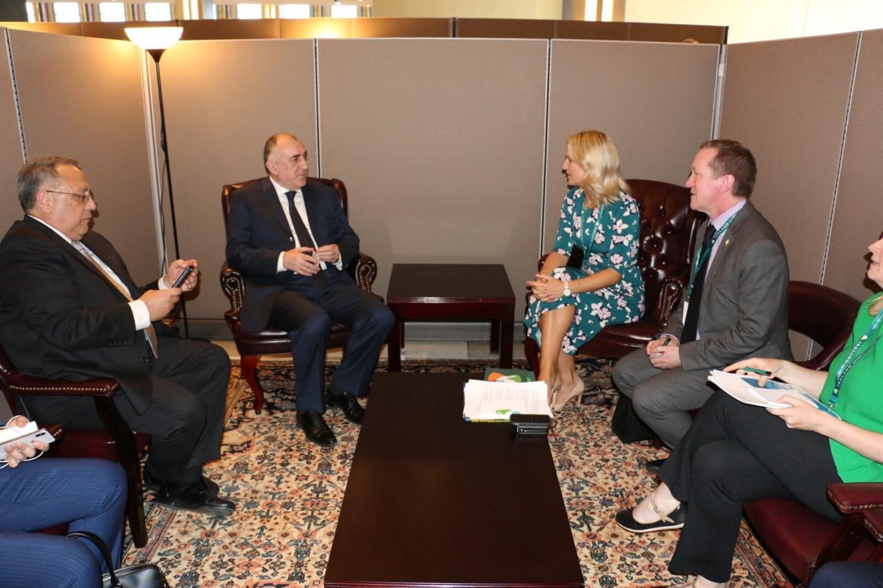 Elmar Məmmədyarov İrlandiyanın Avropa məsələləri üzrə naziri ilə görüşüb (FOTO)