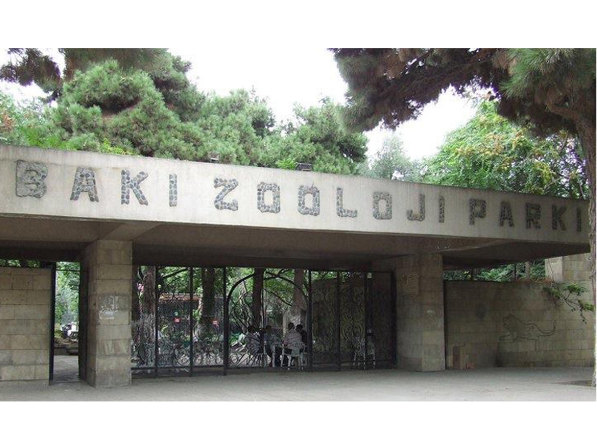 Bakı Zooparkının istifadəyə veriləcəyi təqribi vaxt bilindi (ÖZƏL)