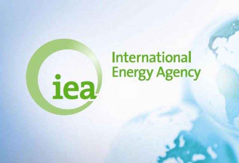Beynəlxalq Enerji Agentliyi: 