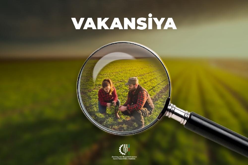 Nazirlik işçi axtarır - 151 vakansiya var