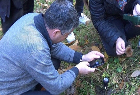 Şəkidə 4 nadir bitki növü müəyyən edilib (FOTO)