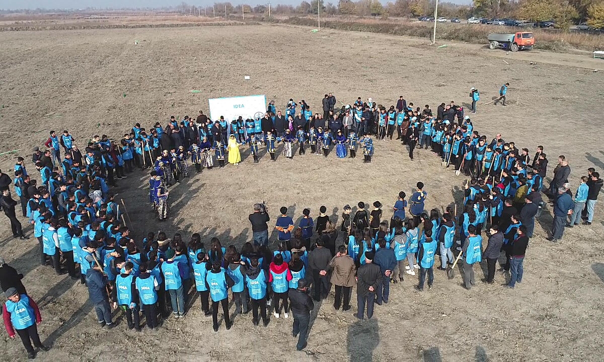 Göyçayda aztəminatlı ailələr üçün meyvə bağları salınıb (FOTO)