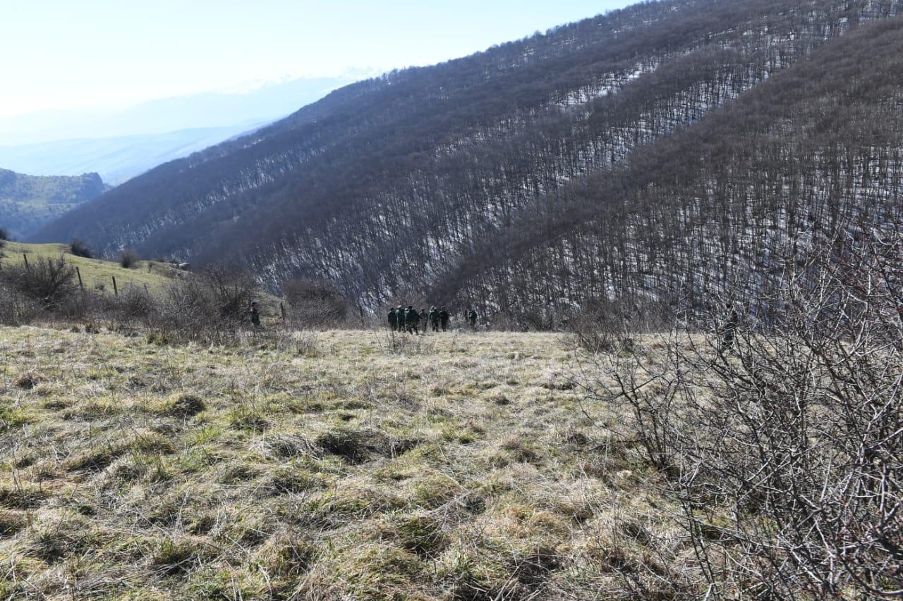 “Cey­rançöl”də itlər sərhəd naryadına hücum etdi, yaralanan var