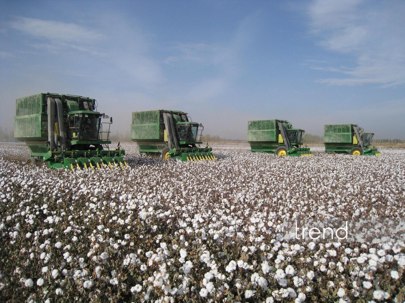 Azərbaycanda 2000-ci ildən bu yana pambıq üzrə ən yüksək orta məhsuldarlıq göstəricisi qeydə alınıb