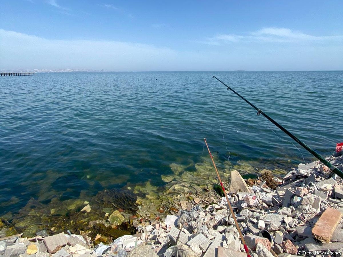 Dənizdə itkin düşən balıqçıların axtarışına helikopter cəlb olunub - FHN