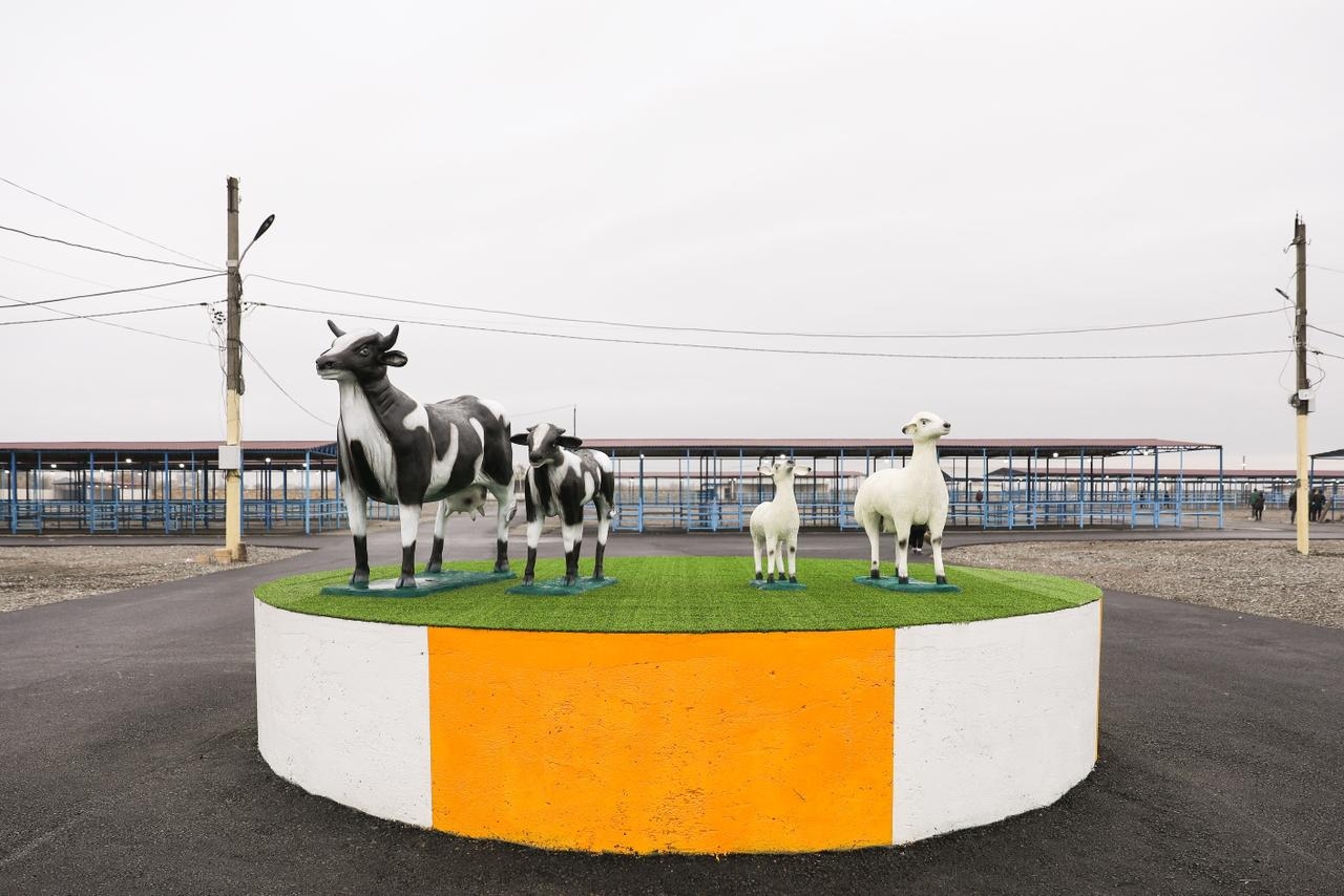 Bərdə heyvan bazarı yaxın günlərdə fəaliyyətə başlayacaq (FOTO)