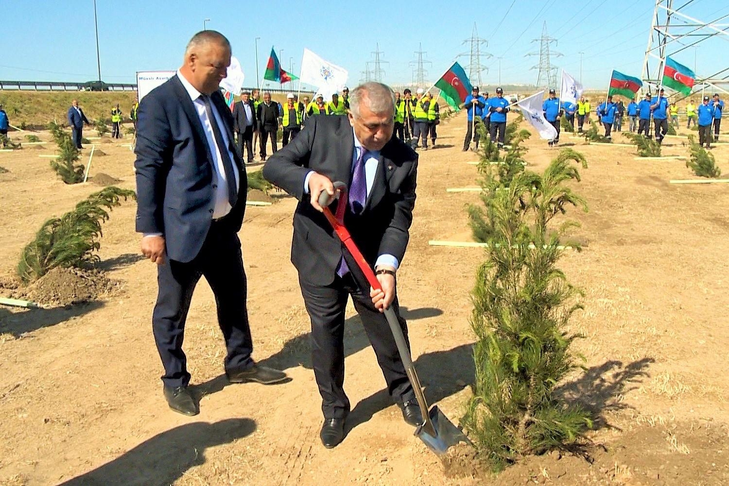 Ümummilli liderin anadan olmasının 96 illiyi ilə əlaqədar 96 min ağac əkilib (FOTO)