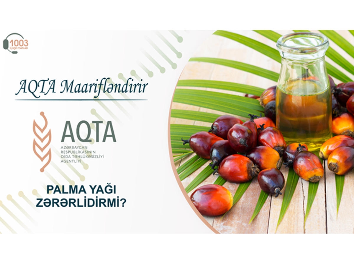 AQTA maarifləndirir - Palma yağı zərərlidirmi?