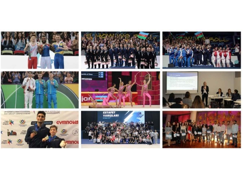 Azərbaycan gimnastları 2019-cu ildə - YEKUNLAR