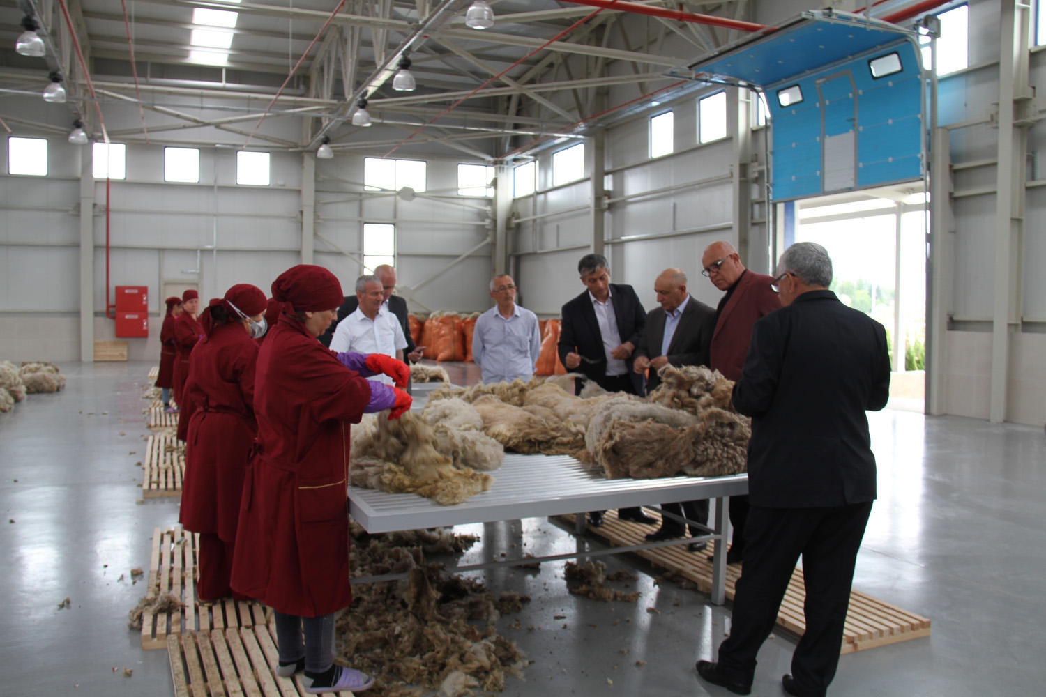 “Azərxalça” daha iki regional məntəqədə yun tədarükünə başlayıb (FOTO)