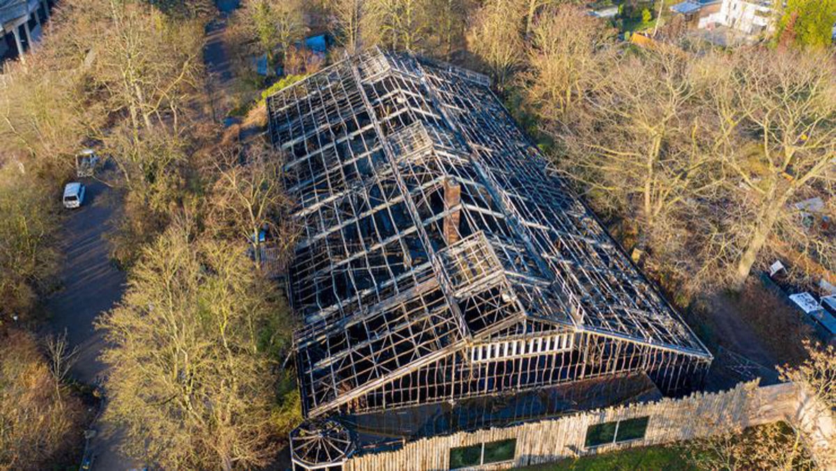 Almaniyada zoopark yandı: onlarla nadir meymun tələf oldu (FOTO)