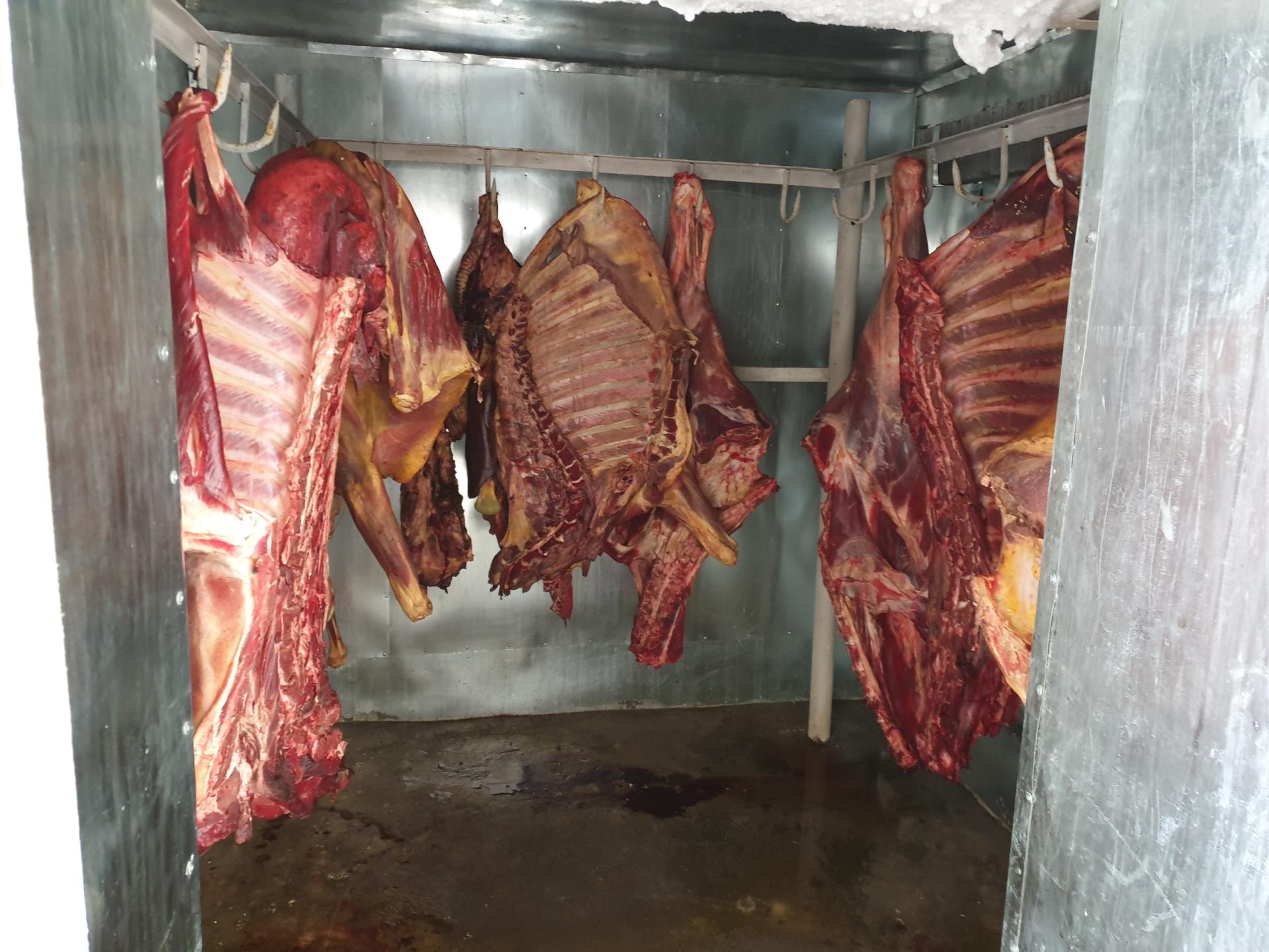 Gül mağazasında 100 kiloqram yararsız ət aşkarlandı (FOTO)