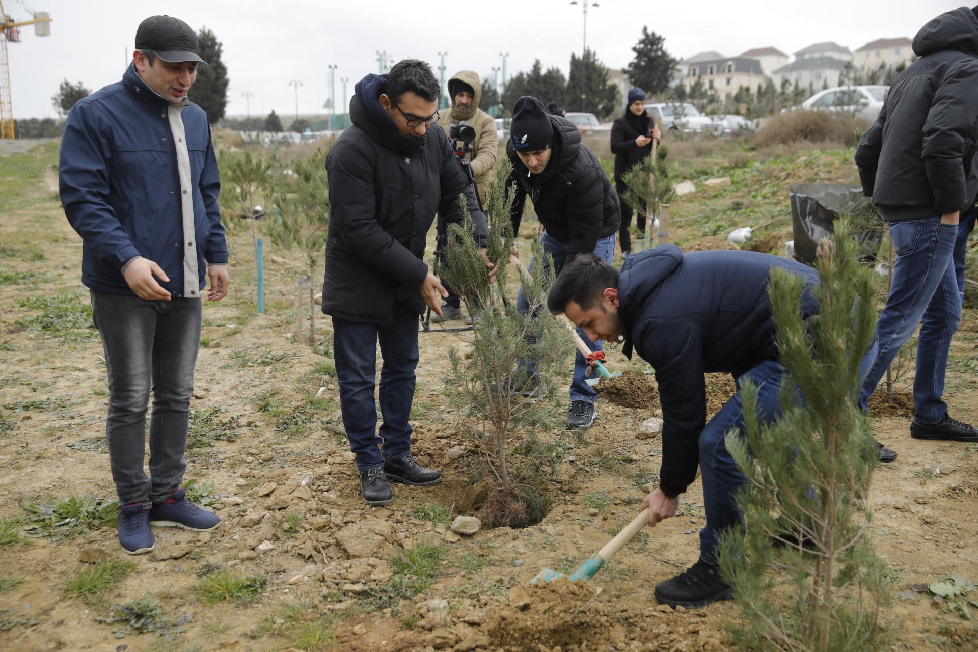 MİDA və YAP Nəsimi Rayon Təşkilatı ağacəkmə aksiyası təşkil etdi (FOTO)