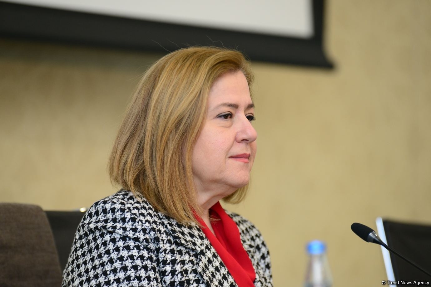 Hande Harmancı: Azərbaycanda insanların koronavirusa görə test edilmə imkanları çox genişlənib