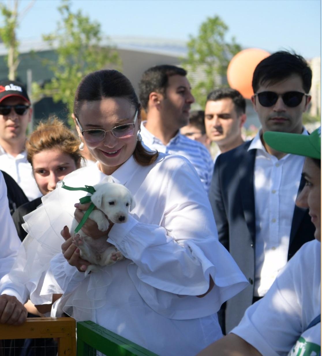 Qənirə Paşayeva “Toplan”dakı bir itə sahib çıxdı