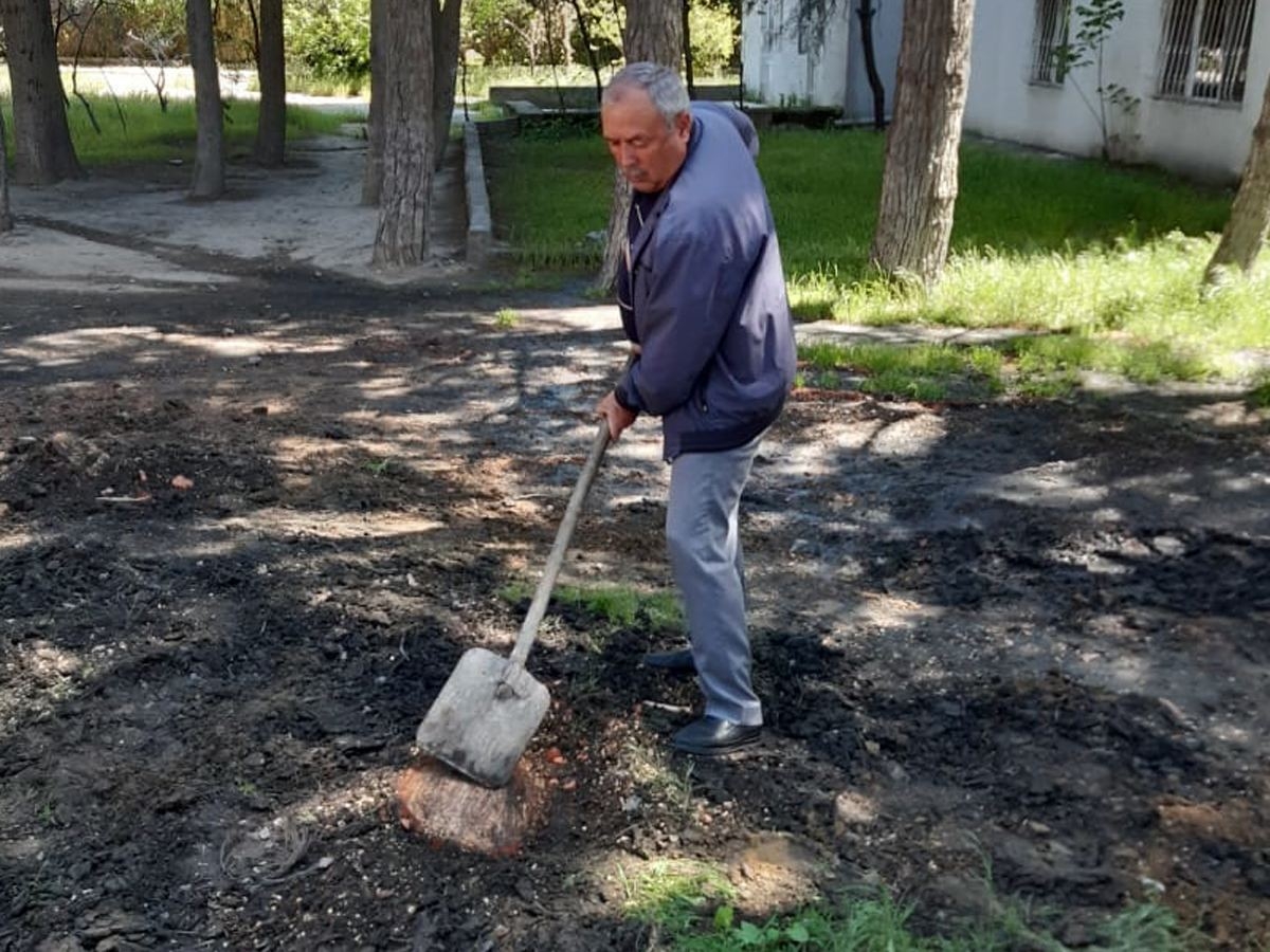 İradə İbrahimova: Ağac kəsənlər ifşa olunmalıdır (FOTO)