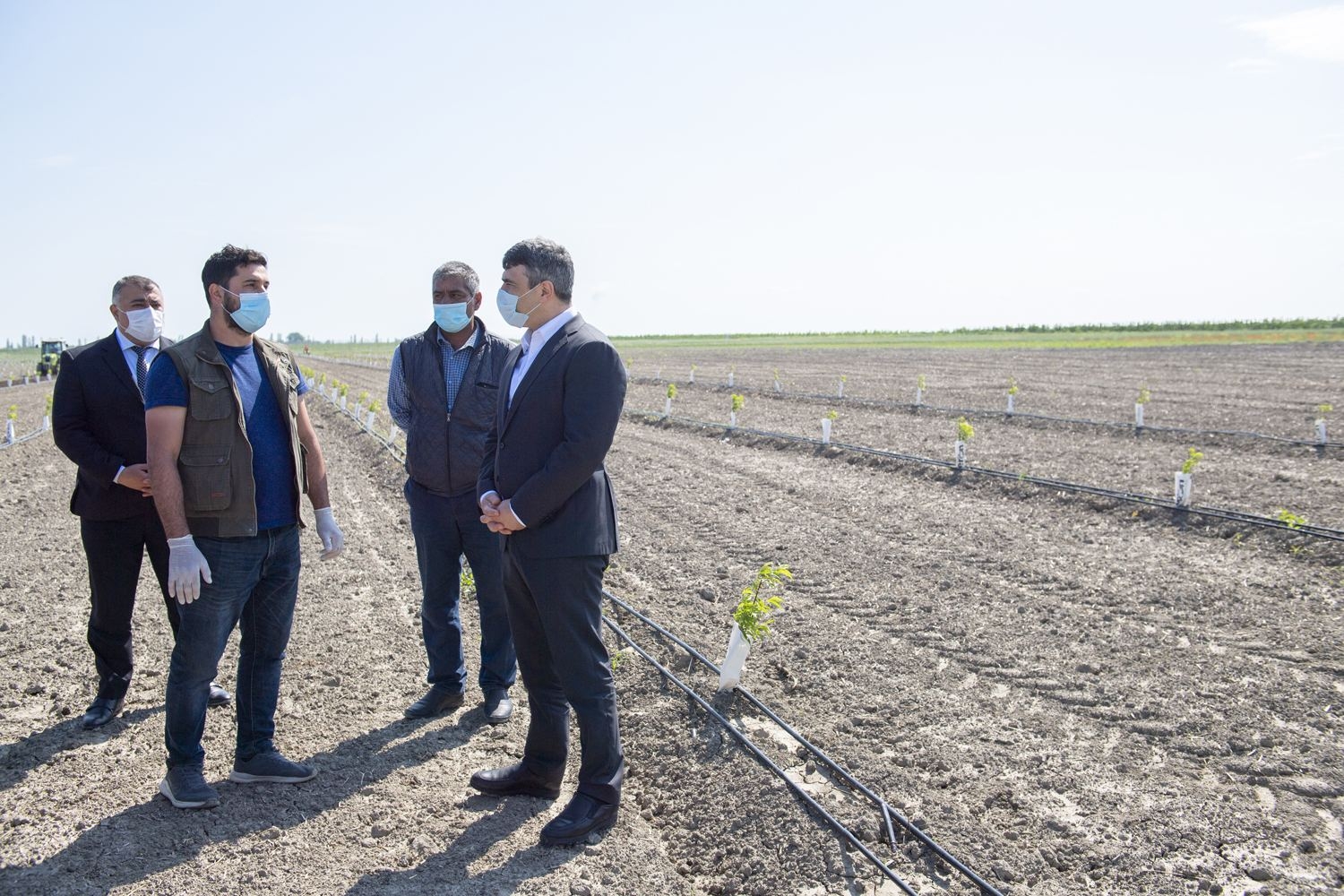 İnam Kərimov: Karantin dövründə kənd təsərrüfatı məhsullarının ixracında problem yoxdur (FOTO)