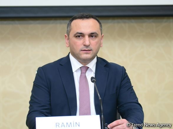 Ramin Bayramlı: Ağırlaşma və ölüm hallarının çoxu evdə özünümüalicə ilə bağlıdır