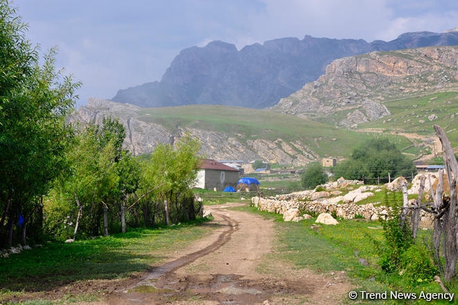 Ismayıllıda itkin düşən şəxsin axtarışları başa çatıb (ƏLAVƏ OLUNUB)