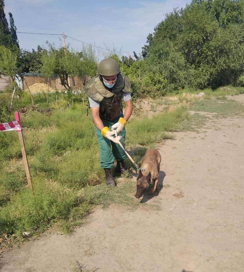 Füzulidə əl qumbarası tapılıb (FOTO)